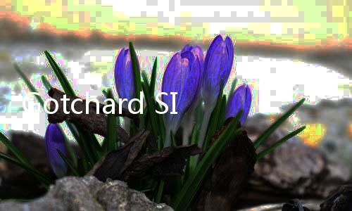 Gotchard SIM模拟器最新版更新黄金国驱动器下载