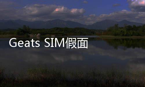 Geats SIM假面骑士SIM模拟器最新版下载