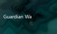 Guardian War守护者战争像素游戏