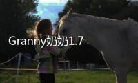 Granny奶奶1.7.3摇滚模组黑客菜单