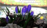 DX Kamen Hero Black Belt假面骑士black腰带模拟器