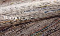 Dangerous Fellows破解版