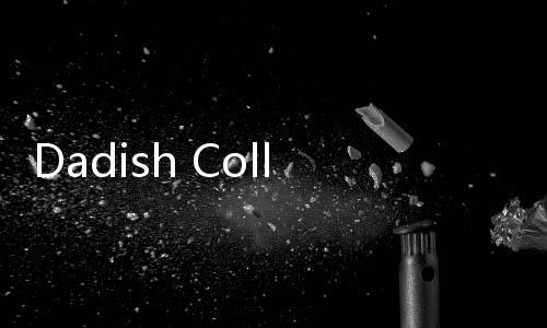 Dadish Collection萝卜爸爸收藏版完整版下载