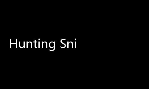 Hunting Sniper狩猎狙击手游戏下载
