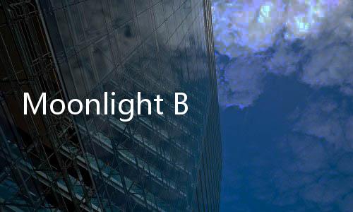 Moonlight Blade手游下载