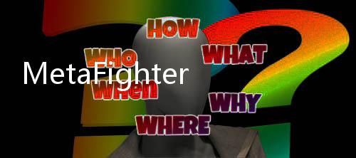 MetaFighter格斗元宇宙下载