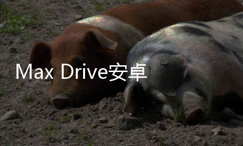 Max Drive安卓版下载