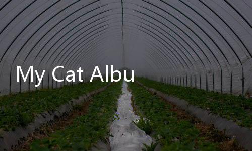 My Cat Album: Pet Sticker Game下载