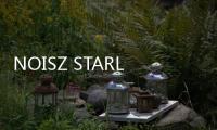 NOISZ STARLIVHT音游