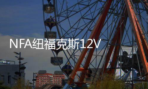 NFA纽福克斯12V 25A全自动汽车电瓶充电器蓄电池充电机 引擎启动下载