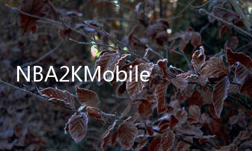 NBA2KMobile国际服安卓下载
