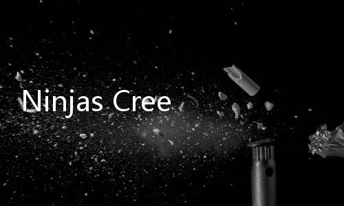 Ninjas Creed安卓破解版下载