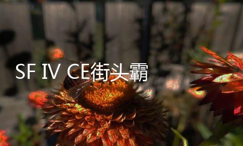 SF IV CE街头霸王4冠军版游戏安卓版下载