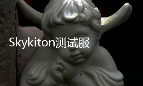 Skykiton测试服下载