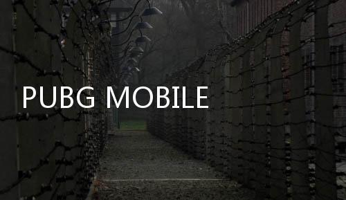 PUBG MOBILE越南服下载