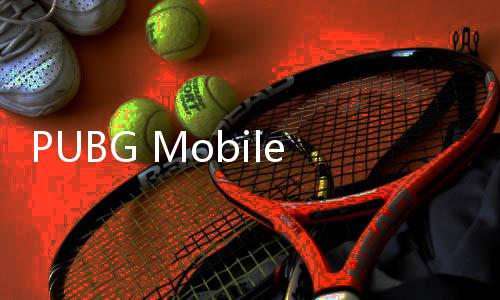 PUBG Mobile国际服官方版下载