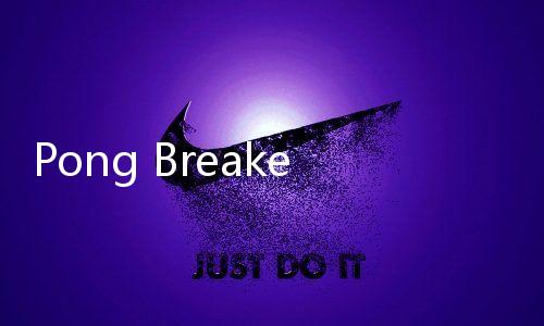 Pong Breaker Royale乒乓打砖块游戏下载