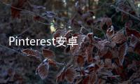Pinterest安卓最新版本 11.4.0