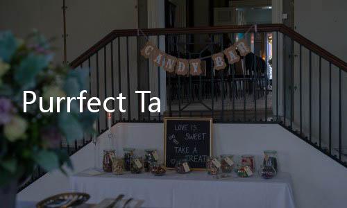Purrfect Tale最新版下载