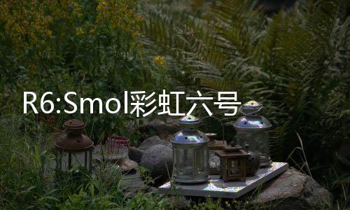 R6:Smol彩虹六号SMOL下载