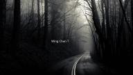 Wing Chun Trainer(咏春模拟器)