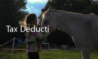 Tax Deduction King扣税国王完整版