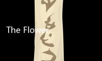 The Flower of Evil恶之花中文版