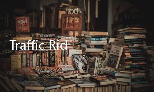 Traffic Rider中文版破解版(公路骑手)下载