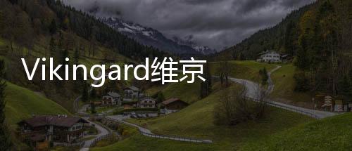 Vikingard维京之王手游国际服下载