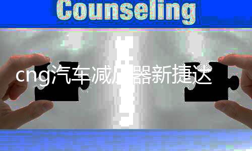 cng汽车减压器新捷达新桑塔纳出租车替代原车减压阀天然气配件下载