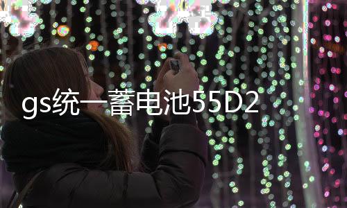 gs统一蓄电池55D23L-KR适配丰田卡罗拉花冠比亚迪雅阁汽车电瓶12v下载