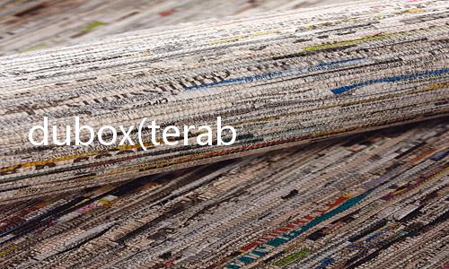 dubox(terabox app)下载