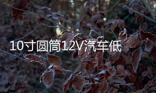 10寸圆筒12V汽车低音炮车载有源重低音炮220V插卡音响24V蓝牙音箱下载
