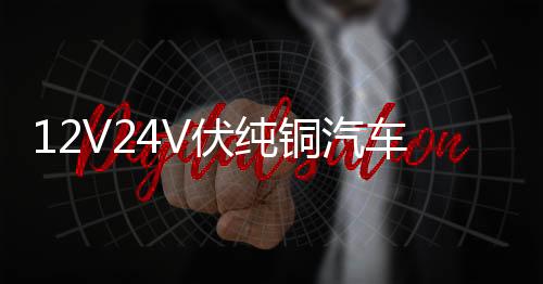 12V24V伏纯铜汽车电瓶充电器通用智能大功率农用车收割电瓶充电机下载