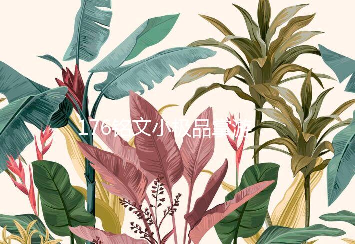 176铭文小极品掌游下载