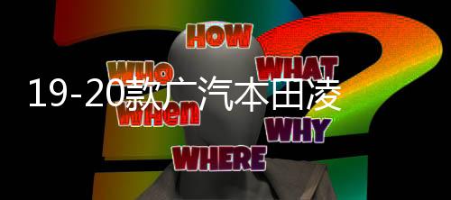 19-20款广汽本田凌派中网外观改装配件2019前脸保险杠专用装饰条下载
