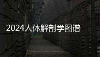 2024人体解剖学图谱谷歌商店(Atlas)