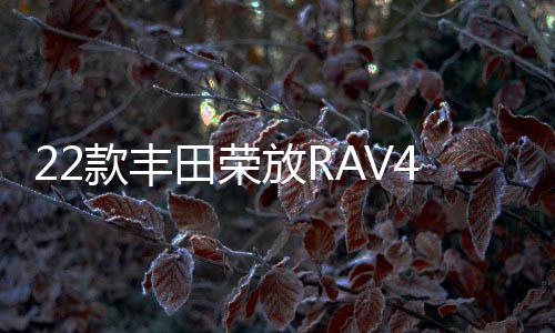 22款丰田荣放RAV4门槛条专用改装配件迎宾踏板车内饰装饰汽车用品下载