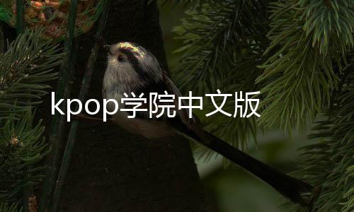 kpop学院中文版下载