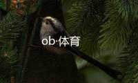 ob·体育