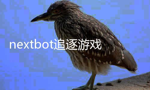 nextbot追逐游戏手机版下载