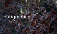 pubgmobilelite
