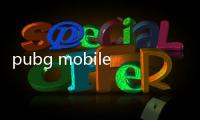 pubg mobile lite