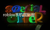 roblox手机国际服2024
